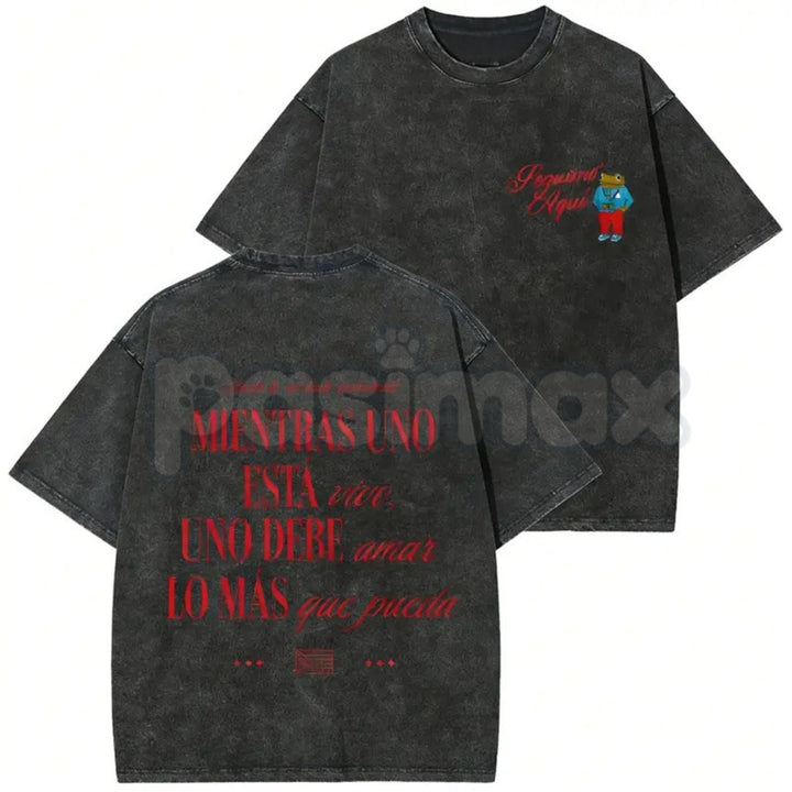 Seguimo Aquí Sapo Concho Washed T-Shirt