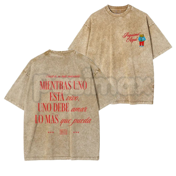 Seguimo Aquí Sapo Concho Washed T-Shirt