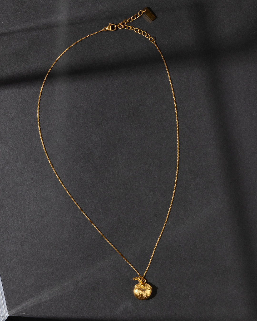 18K Gold Plated Coco Coconut Drink Pendant Necklace