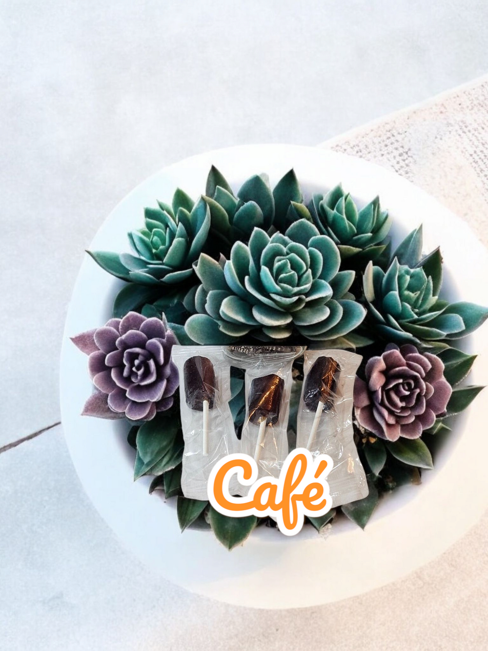 Handmade coffee candy displayed with colorful succulents in a white bowl