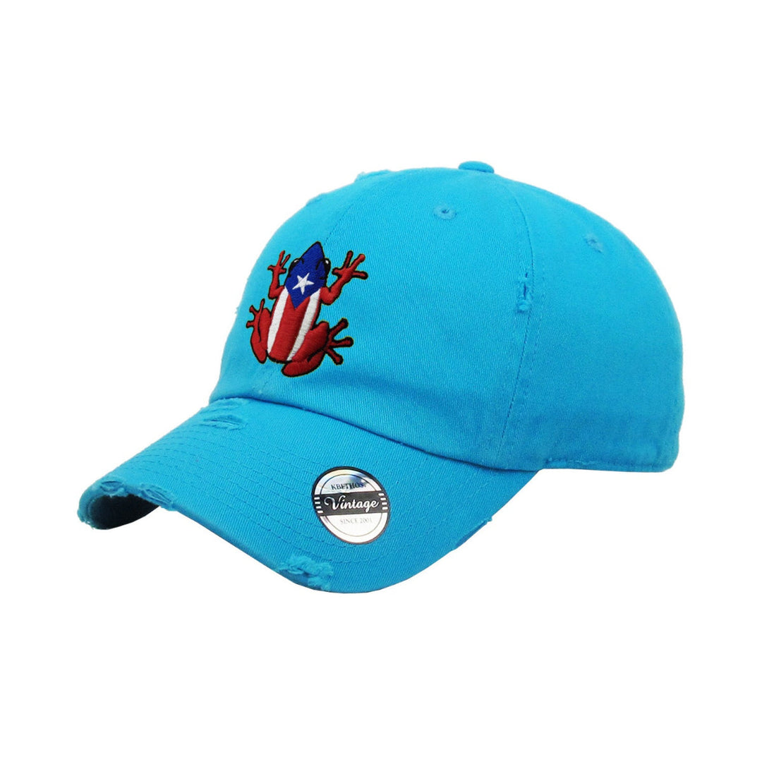 Blue hat with frog design representing Puerto Rico